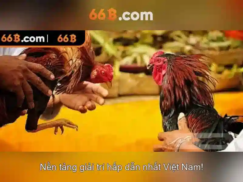 tải app Slot - 66B tải app Slot - 66B